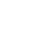 list item image